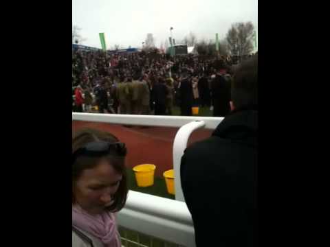 racing results cheltenham