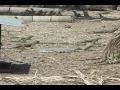 REPORTAJE GRANJA DE REPTILES.mp4