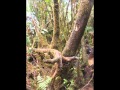 Roraima Descent - YouTube