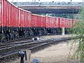 A román Grup Feroviar Roman-tól a debreceni Train Hungary Kft. magánvasút által bérelt 601 525-ös Sulzer dízelgép rötyög ki Szolnokról egy páratlan tehervonattal 2008. július 29-én.No. 0601 525-9 'Sulzer' diesel loc (owned by Grup Feroviar Roman, Romania, hired by Train Hungary Kft., Debrecen, Hungary) departs with a freight train from Szolnok station, Hungary, 29th July 2008.