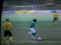 Amazing Goal