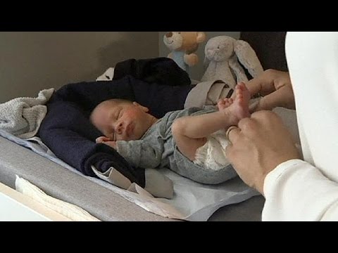 how to transplant baby tears