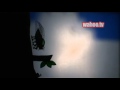 Thumbnail #1