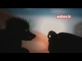 Thumbnail #3
