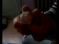 Vache folle.3gp