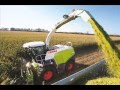 fanclaas67