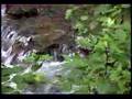Heather Hydro Power