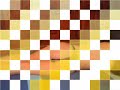 Sexo En Vivo - Porno Gratis - Chicas en Bikini - Folladas