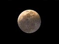 LUNE FEROCI