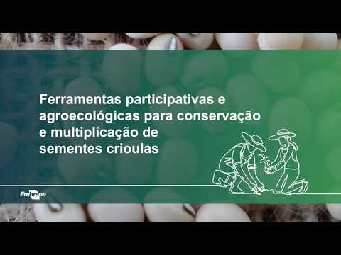 Ferramentas participativas e agroecológicas para conservação e multiplicação de sementes crioulas