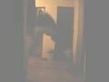 videos de Untitled.mpg
