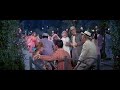 Shipoopi - The Music Man