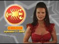 Cancer-Sept-11-2008
