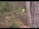 Sunseeker Rally 2008