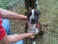 mindi1.MOV