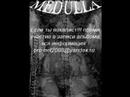 Medulla