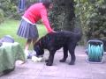 NSPCC MOVIE- Concrete angel
