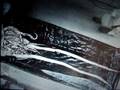 Defrosting of a Rare Colossal Giant Squid