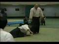 Ichihashi Norihiko Shihan In Action
