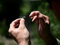 Park City Fly Fishing Guides Park City Fly Fishing Service & Outfitter Trout Bum 2 Fishing Trips