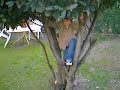 Ian Trepa el arbol