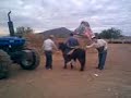 omar kilate