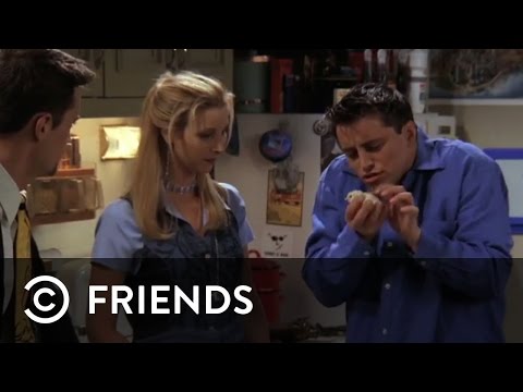 Joey Buys Chandler A Chick | Friends