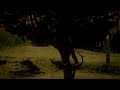 rjd2 - Rught place, wrong time