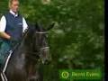 videos de Horses - Bleeding Love ( First Video )