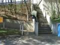9 months of Parkour training