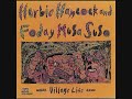 Moon-Light - Herbie Hancock and Foday Musa Suso http://www.youtube.com/watch?v=K20YehpJmCg&feature=related