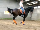 PLR Patrick Le Rolland Dressage Pirouette Yann Simon 2.3