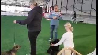 Utställningsabstinens, konsten att ställa ut
