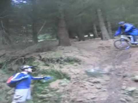 Roddy's Crash