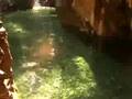 EL MANTO, NAYARIT