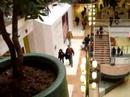 Downtown