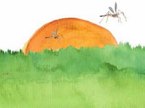 how to treat gnat infestation