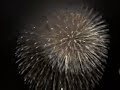 XL Japanese Firework ( 32 inch and up!)