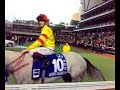 2008 HK Derby paddock