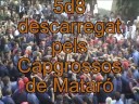 Plaça del Vi 2008 nº4 Plaça del Vi 2008 nº4