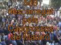 Plaça del Vi 2008 nº4