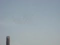 قرية كوكب أبو الهيجاء ستبقى شامة على جبين بلادي الى الابد