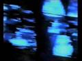 videos de Trustworthy by Happy Hate Me Nots