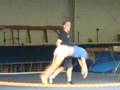videos de gym 7