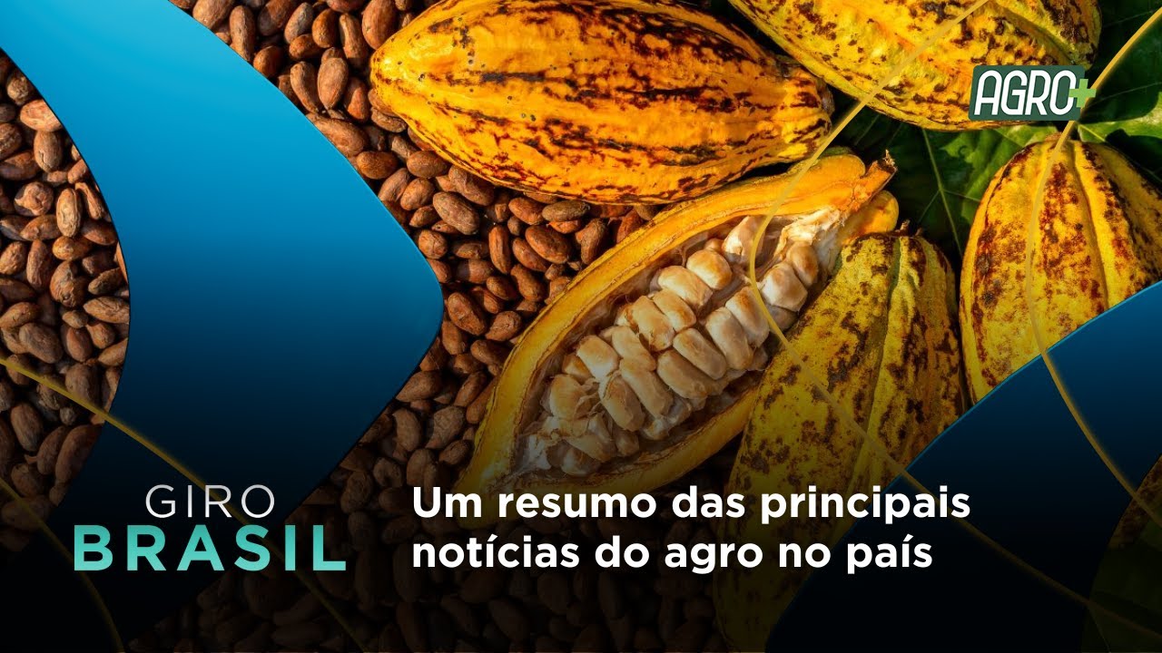 Giro Brasil 08/01 - Um resumo das principais notícias do país