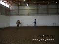 milo 2006 gelding named hotrodders invention