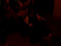 fiestas de paradinas