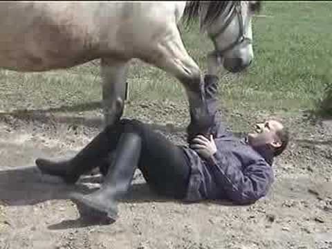Under heavy draft horse 2