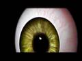Uhli - My zme uhli z Ostravy