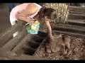 Granja Interactiva Yakú